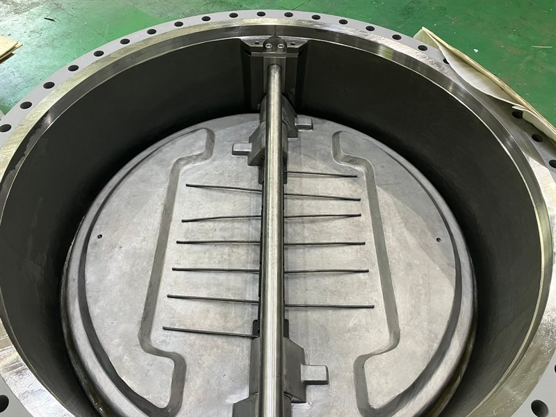 Dual plate check valve