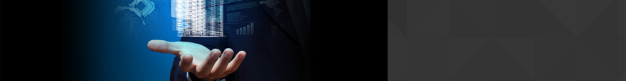 CEO Message