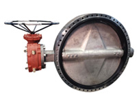 Butterfly Valve